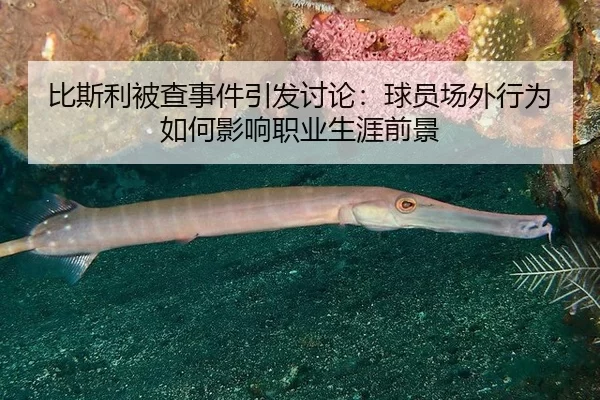 比斯利被查事件引发讨论：球员场外行为如何影响职业生涯前景